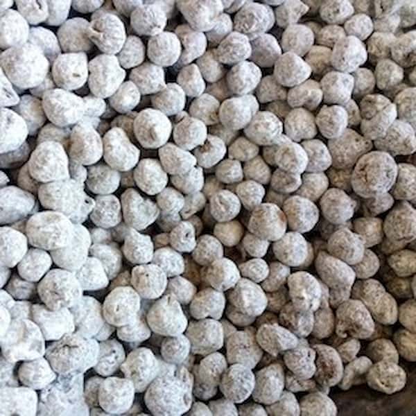 تصویر 3 از راهنمای خرید انجیر خشک آردی ورقه ای + قیمت عالی